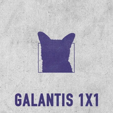 Galantis 1X1 cover artwork