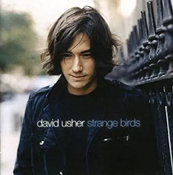 David Usher — The Music cover artwork