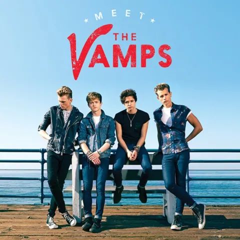 The Vamps — Risk It All cover artwork