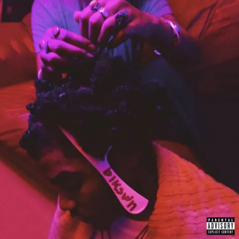 Smino blkswn cover artwork