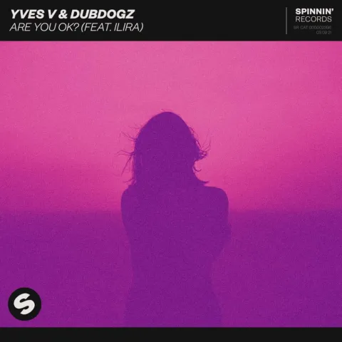 Yves V & Dubdogz featuring ILIRA — Are You Ok? cover artwork