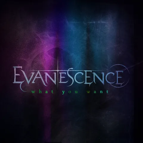 Evanescence — What You Want cover artwork