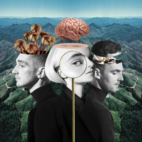 Clean Bandit featuring Charli XCX & Bhad Bhabie — Playboy Style cover artwork