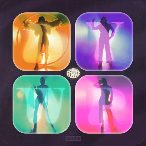 Fleece — Do You Wanna Party cover artwork
