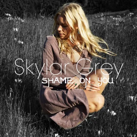 Skylar Grey — Shame On You cover artwork