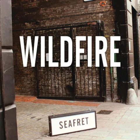 Seafret — Wildfire cover artwork