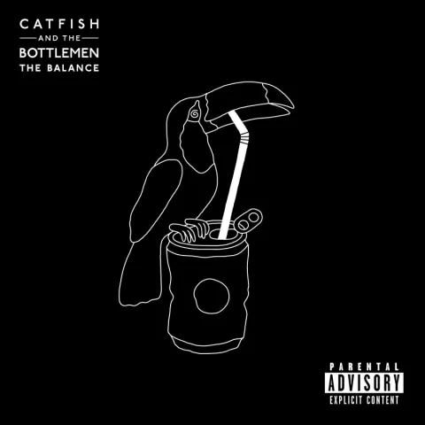 Catfish and the Bottlemen — Fluctuate cover artwork
