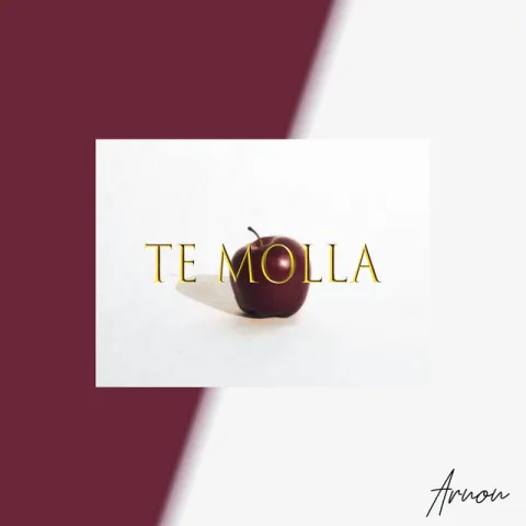 Arnon featuring Killua — Te Molla cover artwork