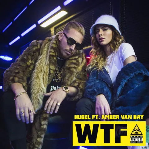 HUGEL featuring Amber Van Day — WTF cover artwork