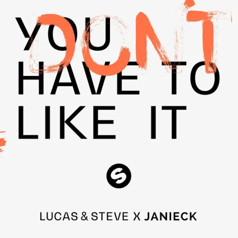 Lucas &amp; Steve & Janieck — You Don&#039;t Have To Like It cover artwork