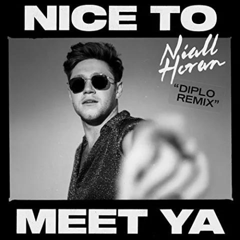 Niall Horan — Nice to Meet Ya (Diplo Remix) cover artwork