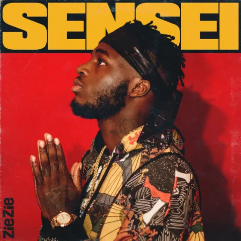 ZieZie — Sensei cover artwork