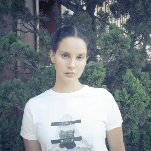 Lana Del Rey Mariners Apartment Complex cover artwork