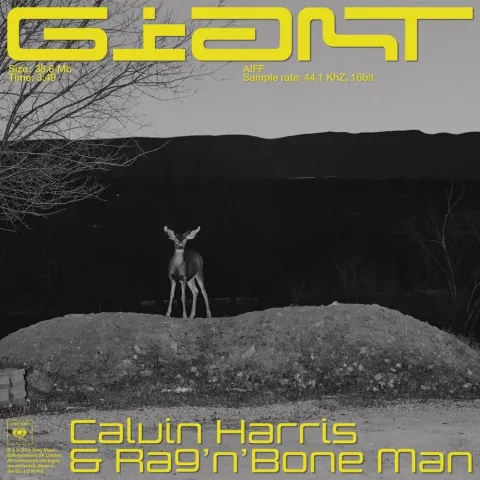 Calvin Harris & Rag'n'Bone Man Giant cover artwork
