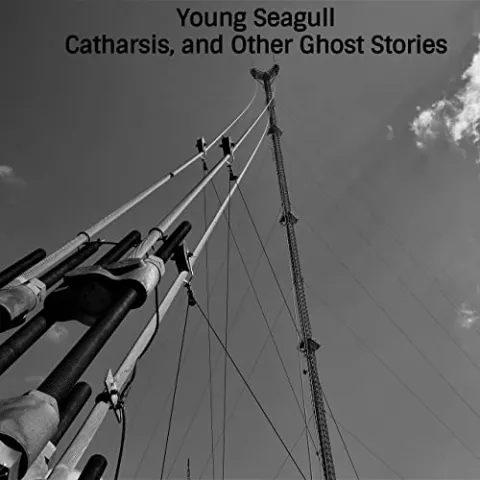 Young Seagull — Ethchlorvynol cover artwork