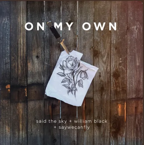 Said the Sky, William Black, & SoWeCanFly — On My Own cover artwork