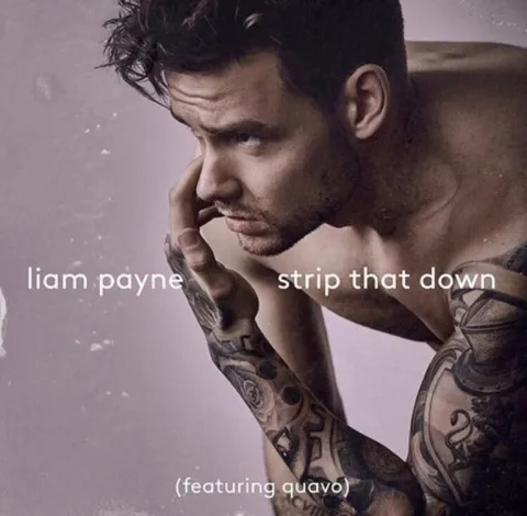 Liam Payne featuring Quavo — Strip That Down cover artwork