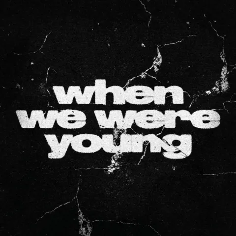 Architects — when we were young cover artwork