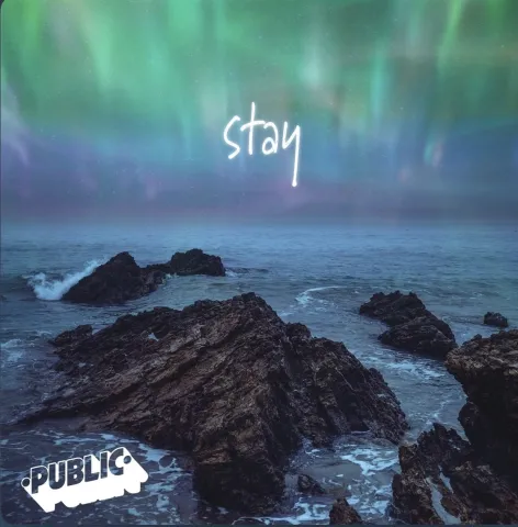 PUBLIC — Stay cover artwork