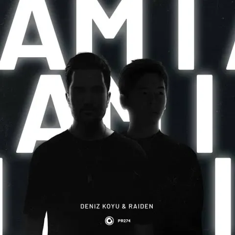 Deniz Koyu & Raiden — Am I cover artwork