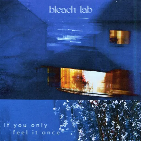 Bleach Lab I Could Be Your Safe Place cover artwork