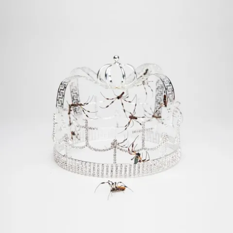 Billie Eilish — you should see me in a crown cover artwork