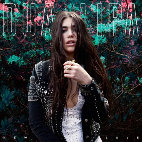Dua Lipa — New Love cover artwork