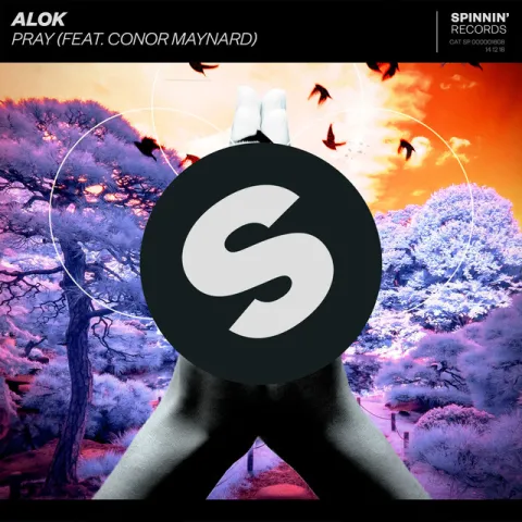 Alok featuring Conor Maynard — Pray cover artwork