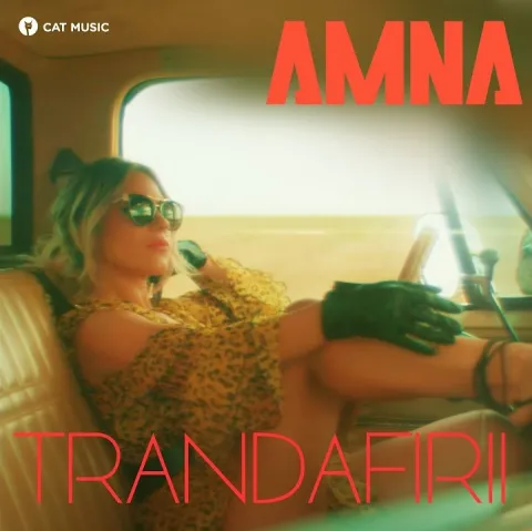 Amna — Trandafirii cover artwork