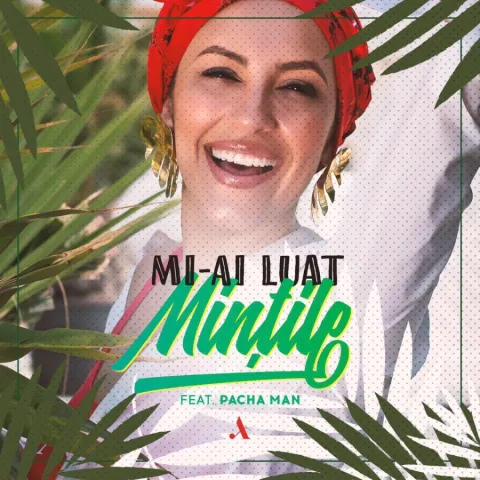 Andra featuring Pacha Man — Mi-ai Luat Mintile cover artwork