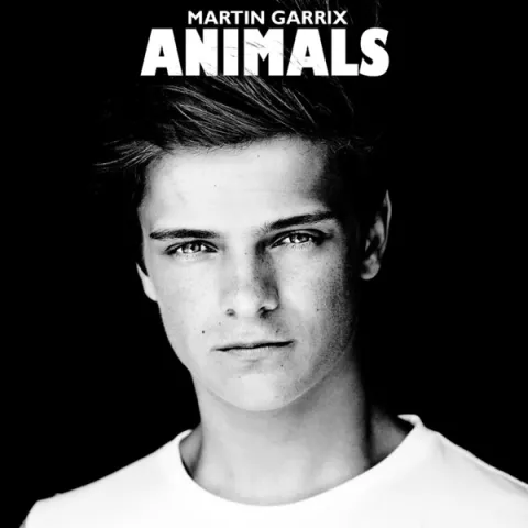 Martin Garrix — Animals cover artwork