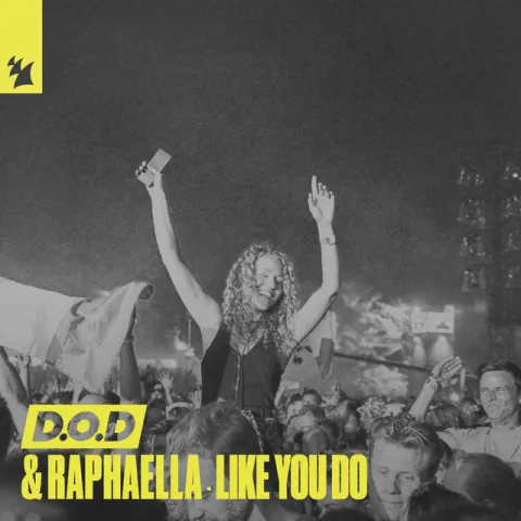 D.O.D & Raphaella Like You Do cover artwork