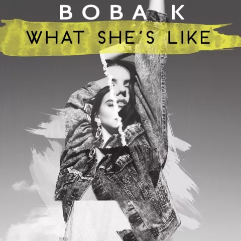 Boba K — What She&#039;s Like cover artwork