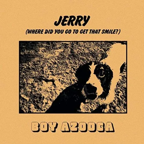 Boy Azooga — Jerry cover artwork