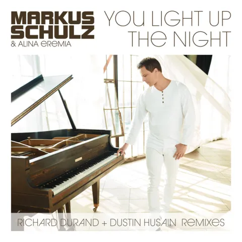 Markus Schulz featuring Alina Eremia — You Light Up The Night cover artwork