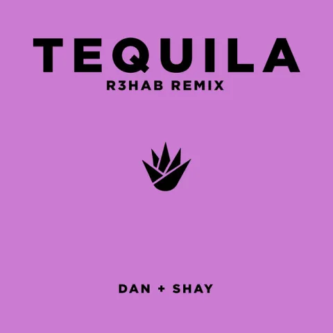 Dan + Shay featuring R3HAB — Tequila (R3HAB Remix) cover artwork