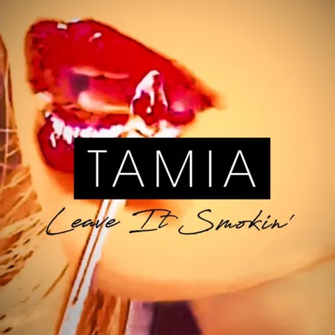 Tamia Leave It Smokin&#039; cover artwork