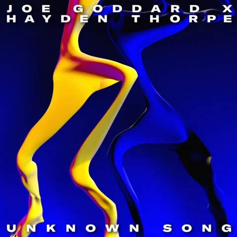 Joe Goddard & Hayden Thorpe Unknown Song cover artwork