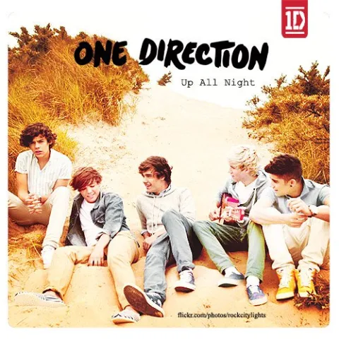 One Direction — I Should Have Kissed You cover artwork