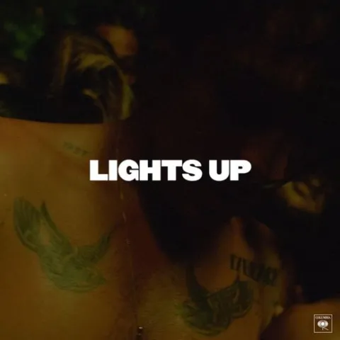 Harry Styles Lights Up cover artwork