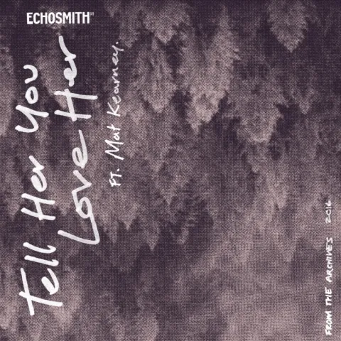 Echosmith featuring Mat Kearney — Tell Her You Love Her cover artwork