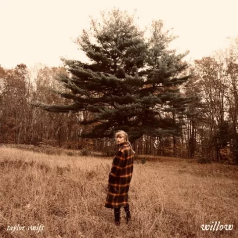 Taylor Swift willow cover artwork