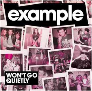 Example — Won&#039;t Go Quietly cover artwork