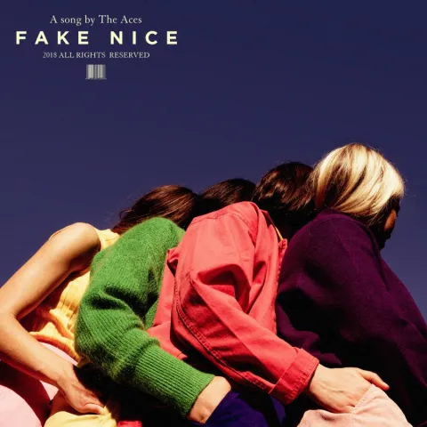 The Aces — Fake Nice cover artwork