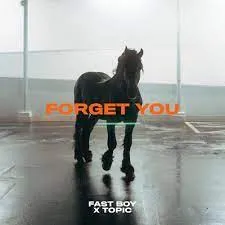FAST BOY & Topic — Forget You cover artwork