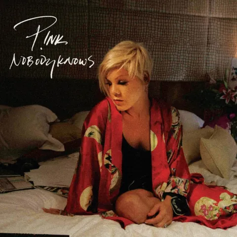 P!nk — Nobody Knows cover artwork