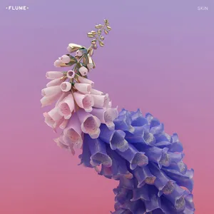 Flume — Wall Fuck cover artwork
