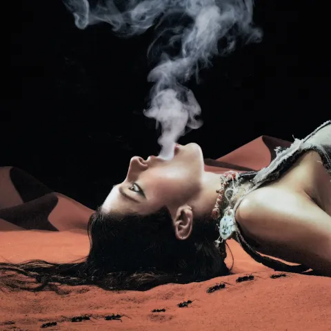 Caroline Polachek — Smoke cover artwork