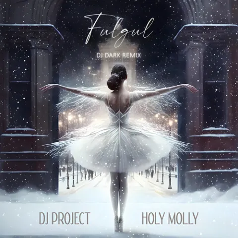 DJ Project & Holy Molly Fulgul (DJ Dark Remix) cover artwork