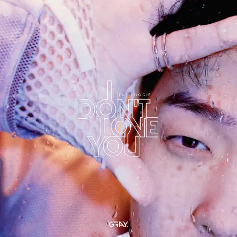 Gray featuring Coogie — I Don&#039;t Love You cover artwork